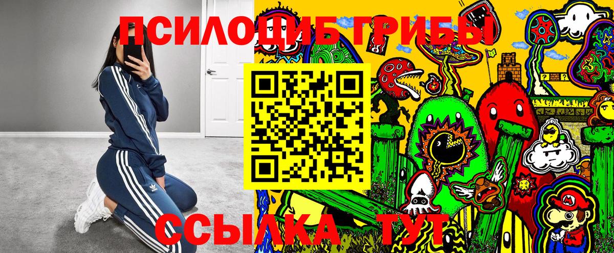 Соль-Илецк  Галлюциногенные грибы MAGIC MUSHROOMS  Вход с VPN 